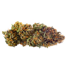 Load image into Gallery viewer, REDECAN WAPPA (IND) DRIED - 1G
