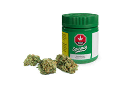 Load image into Gallery viewer, SPINACH COCOA BOMBA (H) DRIED - 3.5G