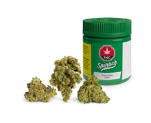 Load image into Gallery viewer, SPINACH PEACH GELATO (S) DRIED - 3.5G