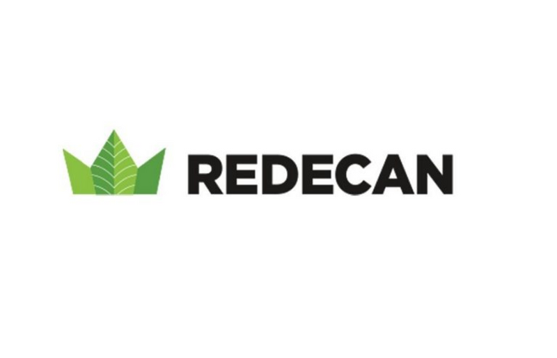 REDECAN REDEES HEMPD TRIANGLE MINTS (IND) PRE-ROLL - 0.4GX10