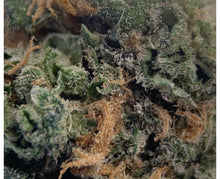 Load image into Gallery viewer, SUNDIAL BLUE NOVA (S) DRIED - 3.5G
