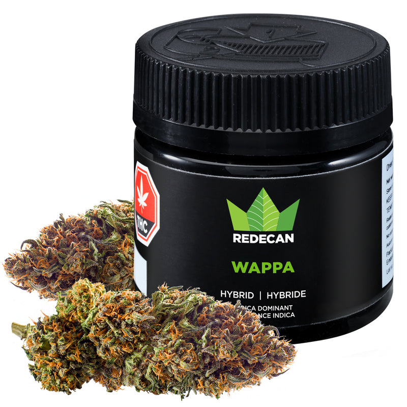 REDECAN WAPPA (IND) DRIED - 1G