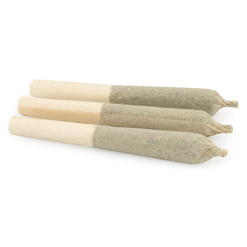 SUNDIAL CITRUS ORCHARD (S) PRE-ROLL - 0.5G X 3