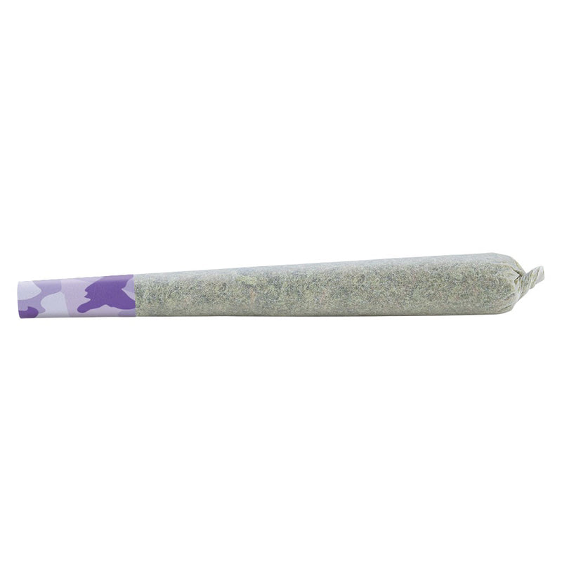 SHRED DESSERT STORM (H) PRE-ROLL - 1G X 1