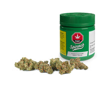 Load image into Gallery viewer, SPINACH FROSTED CREAM PUFFS (H) DRIED - 3.5G
