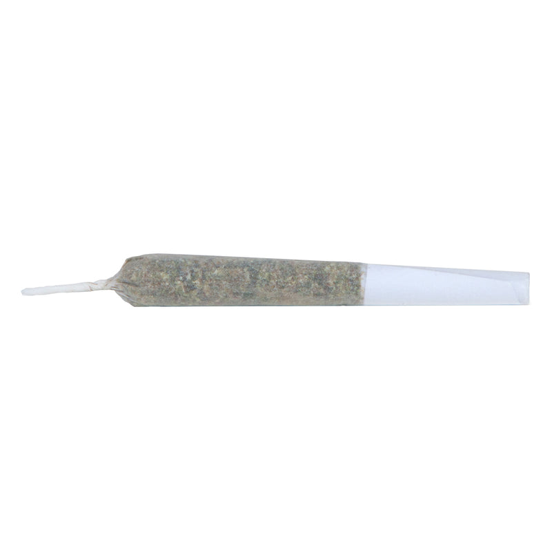 SAN RAFAEL 71 SOURDOUGH SHORTCUT (IND) INF PRE-ROLL - 0.35X3