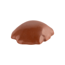 Load image into Gallery viewer, VACAY CHOCOLATE CARAMEL PECAN CLUSTER (H) CHOC - 10MG THC X1
