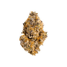 Load image into Gallery viewer, VACAY TROPICALI (H) DRIED - 3.5G
