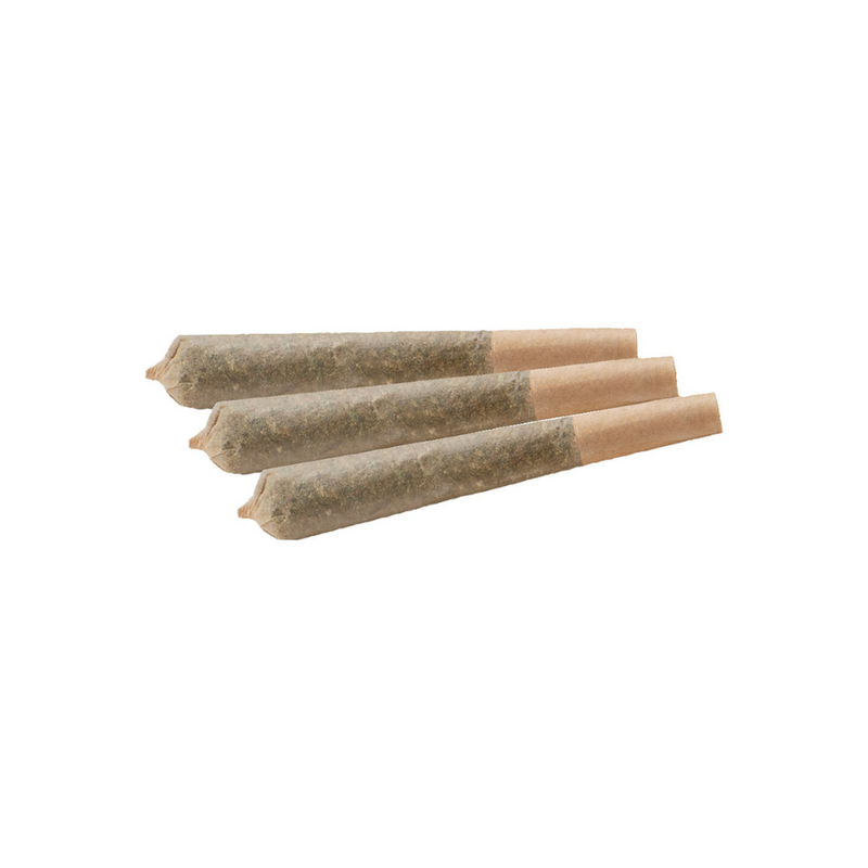 VACAY TROPICALI (H) PRE-ROLL - 0.5G X 3