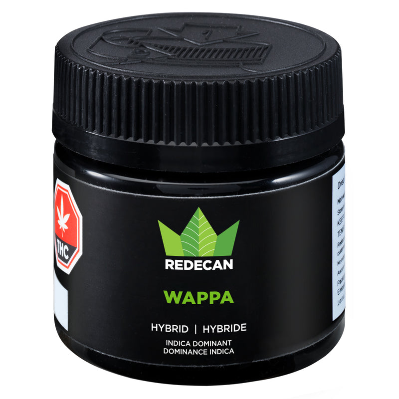 REDECAN WAPPA (IND) DRIED - 1G